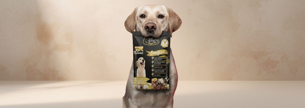 Alimento para perros, hecho con ingredientes reales