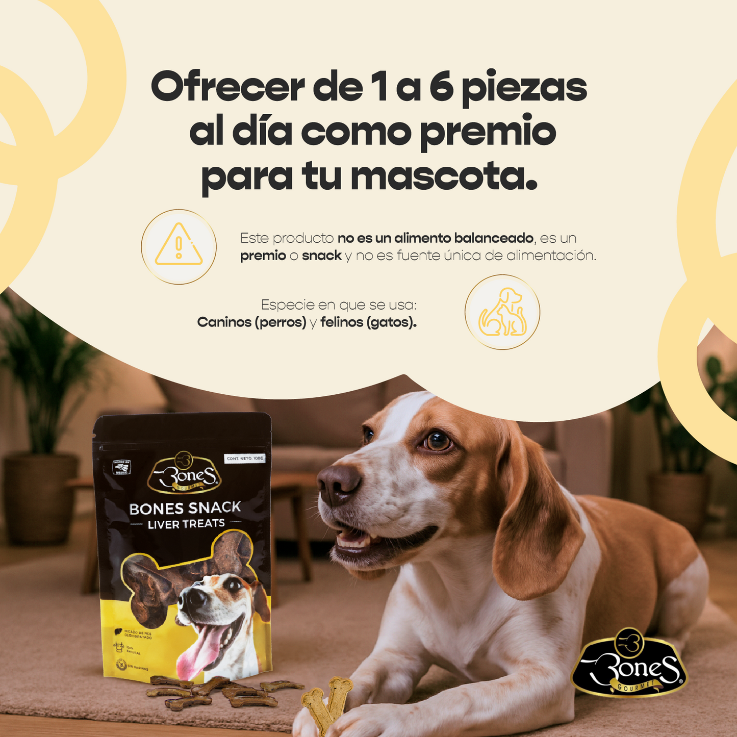 Bones Snacks