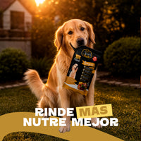 Alimento crudo de res para perros de Bones Gourmet