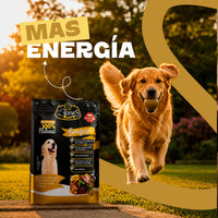 Alimento crudo de res para perros de Bones Gourmet