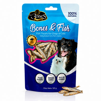Bones & Fish