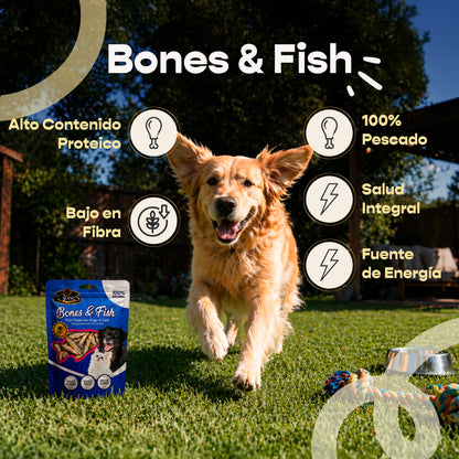 Bones & Fish