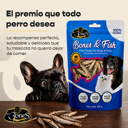 Bones & Fish