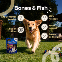 Bones & Fish