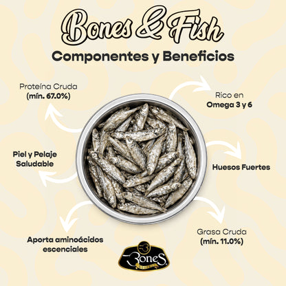 Bones & Fish