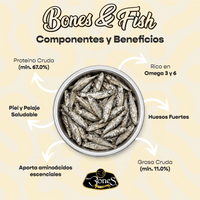 Bones & Fish